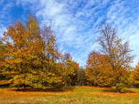 Beskid Niski